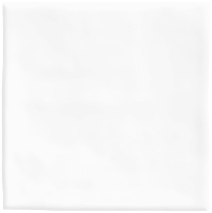 White ceramic tile — Newport White